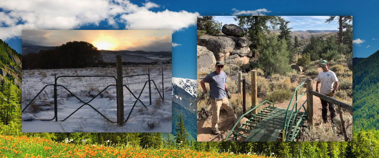 Featured Image for Easy Fence, LLC